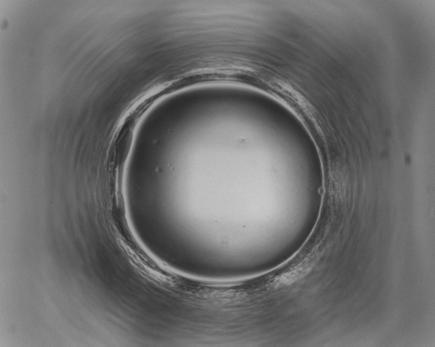 X0000061730779200512091544