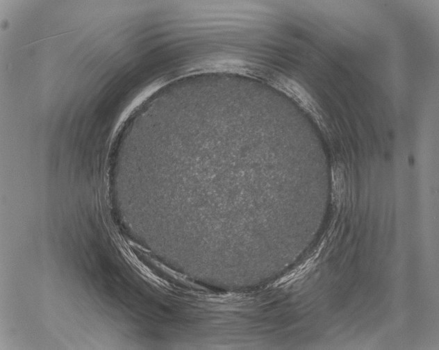 X0000061730780200512091544