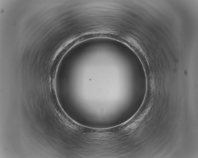 X0000061730781200512091544