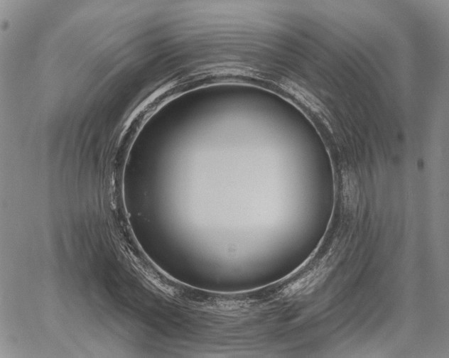 X0000061730782200512091544