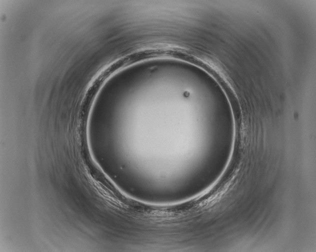 X0000061730783200512091544