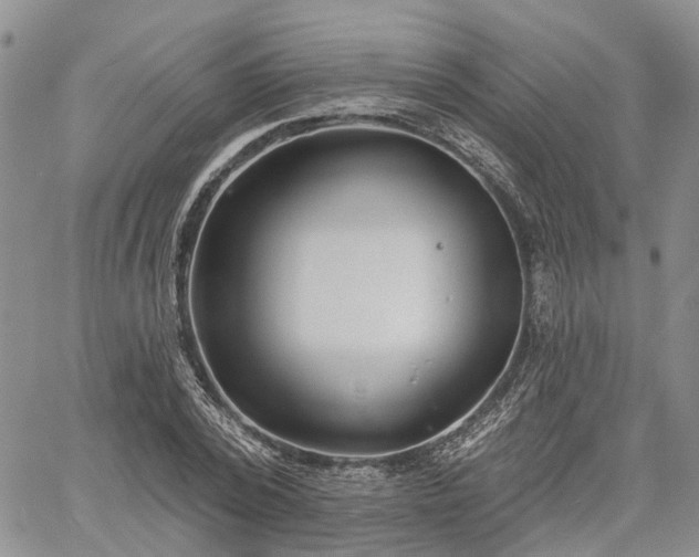 X0000061730784200512091544