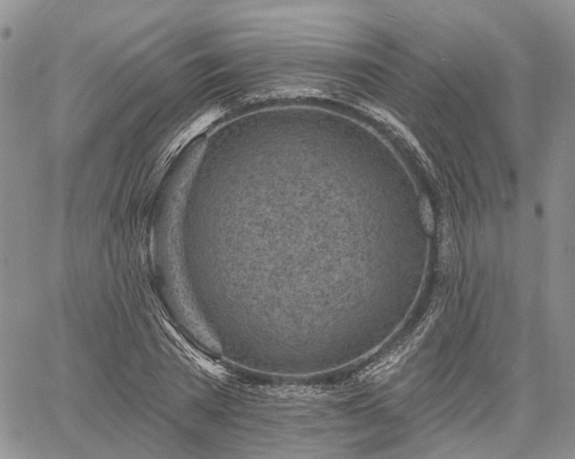 X0000061730785200512091544