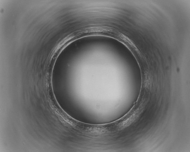 X0000061730786200512091544