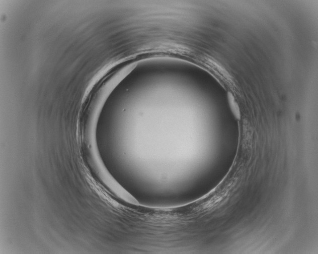 X0000061730788200512091544