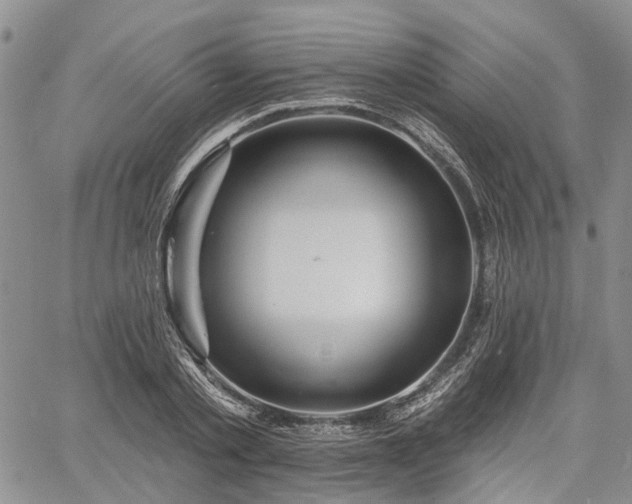 X0000061730789200512091544