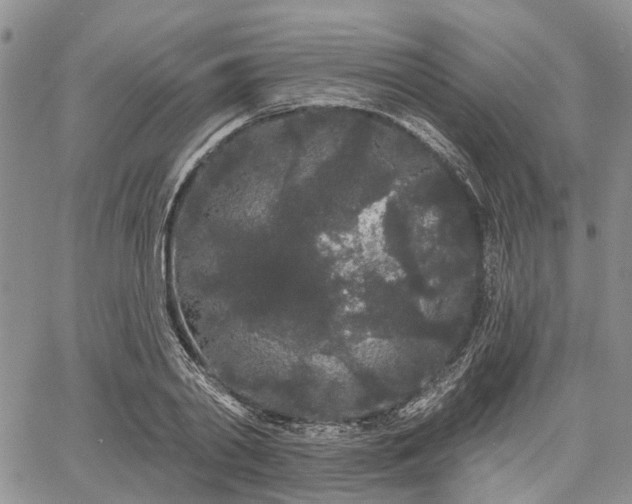 X0000061730790200512091544