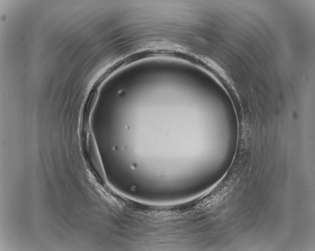 X0000061730791200512091544