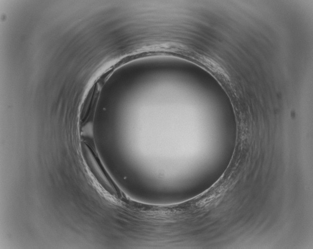 X0000061730792200512091544