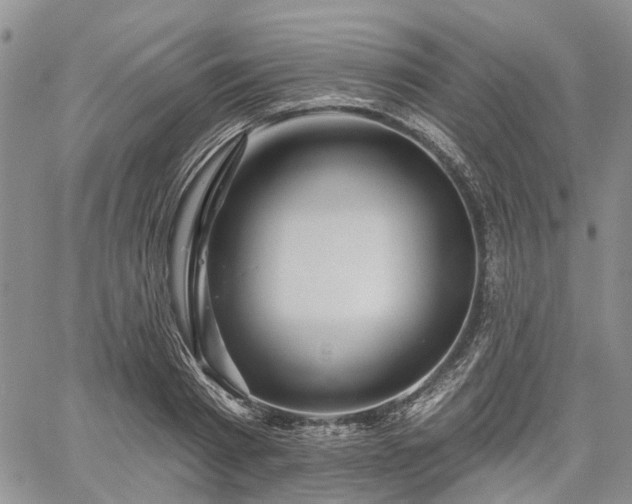 X0000061730793200512091544