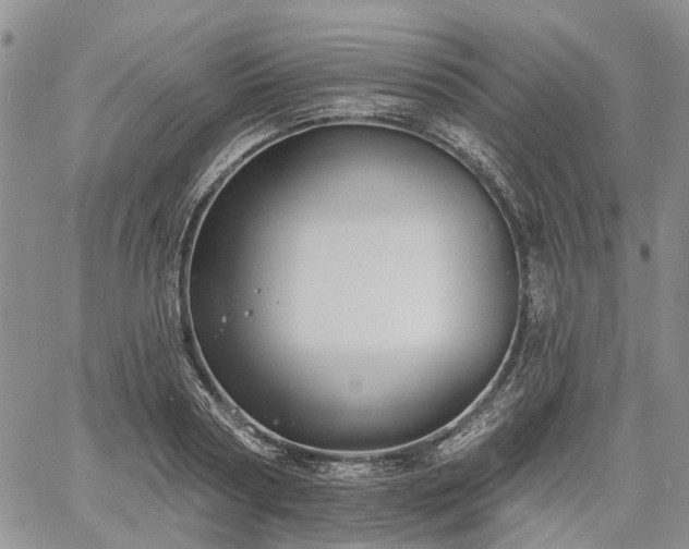 X0000061730794200512091544