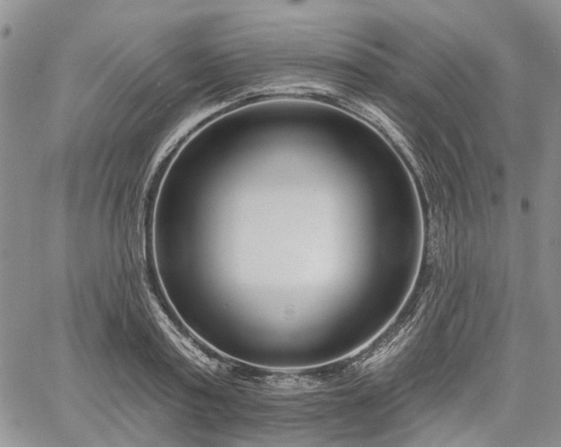 X0000061730795200512091544