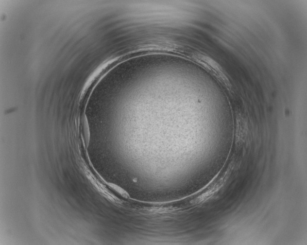 X0000061730796200512091544