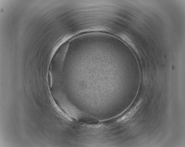 X0000061730797200512091544