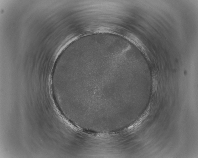 X0000061730798200512091544