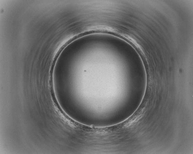 X0000061730799200512091544