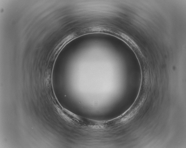 X0000061730801200512091543