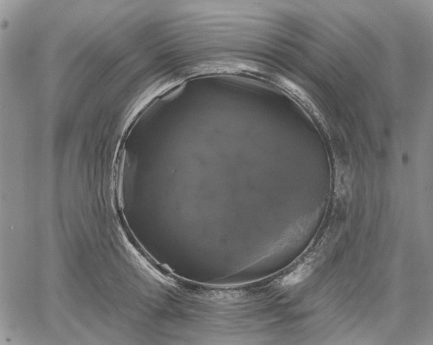 X0000061730802200512091543