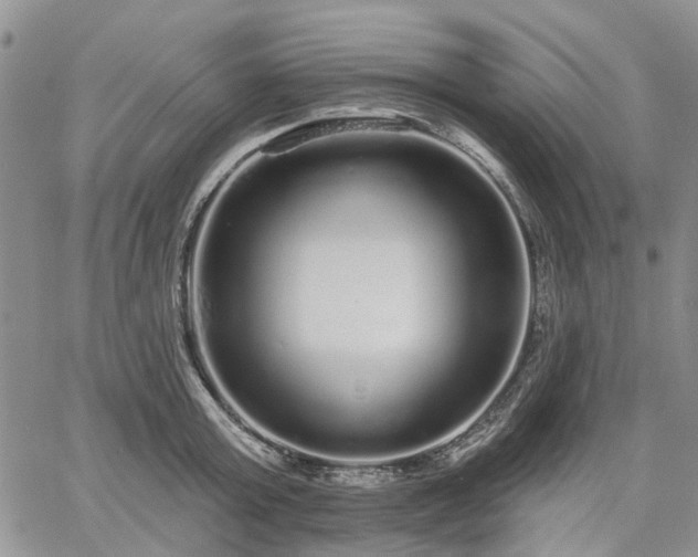 X0000061730803200512091543