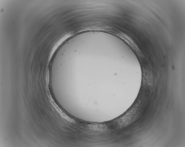 X0000061730804200512091543