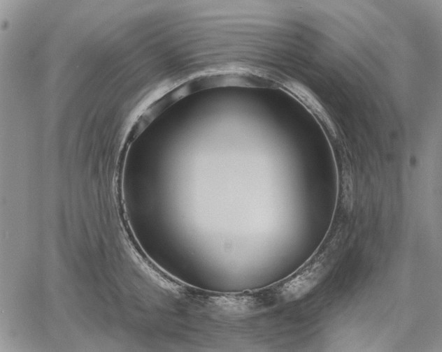 X0000061730805200512091543