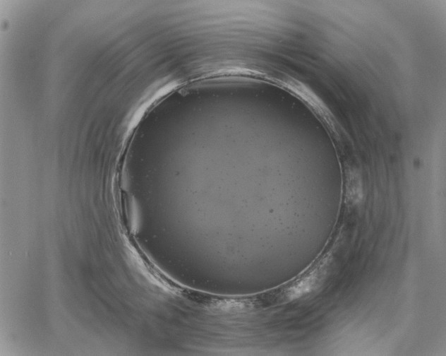 X0000061730806200512091543