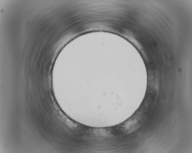 X0000061730807200512091543