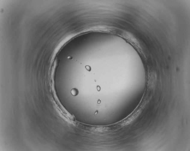 X0000061730808200512091543