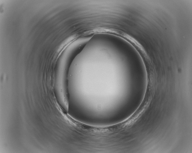 X0000061730809200512091543