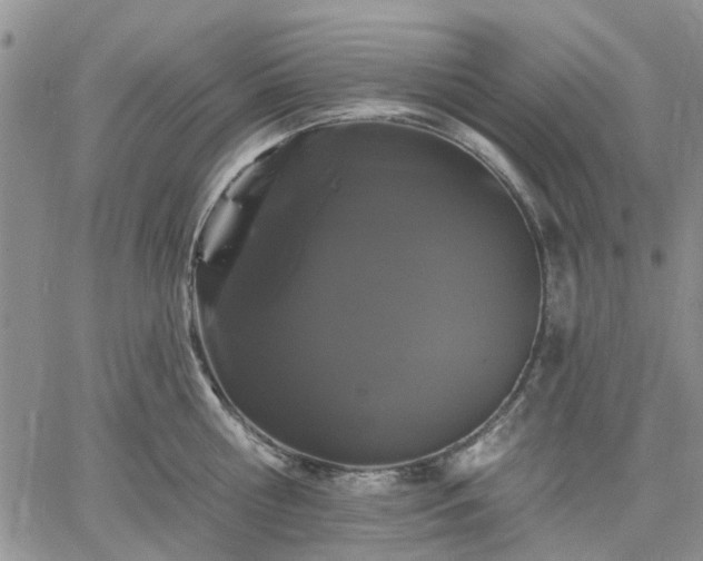 X0000061730810200512091543