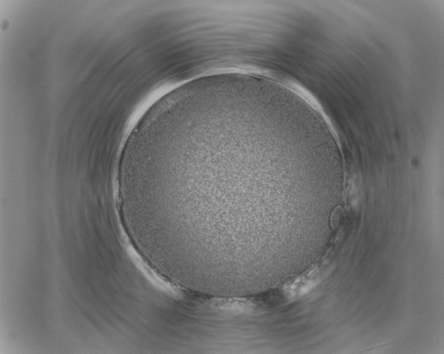 X0000061730811200512091543