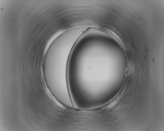 X0000061730812200512091543