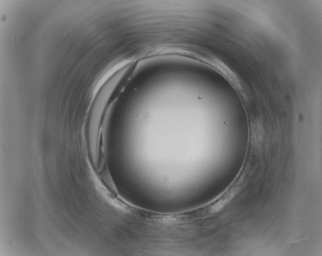 X0000061730814200512091543