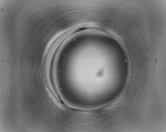 X0000061730816200512091543