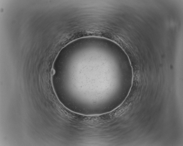 X0000061730817200512091542