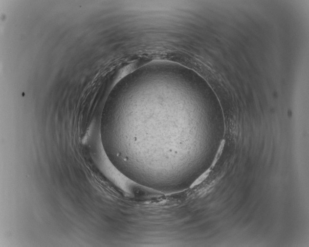 X0000061730818200512091542