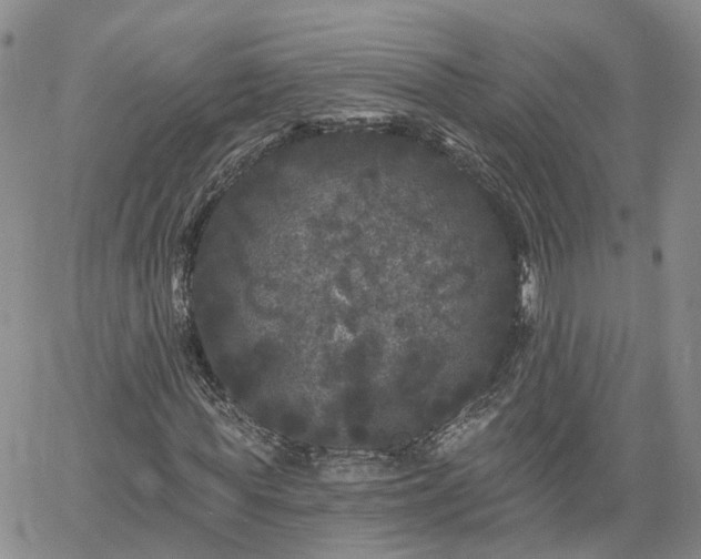 X0000061730819200512091542