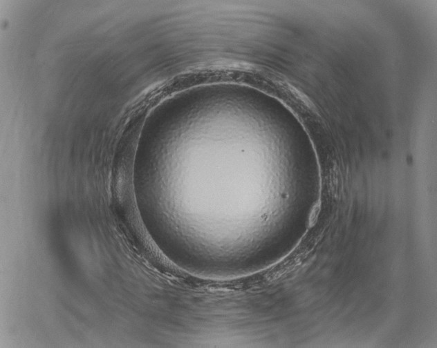 X0000061730821200512091543