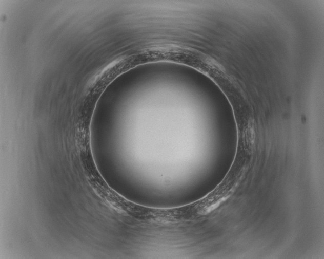 X0000061730822200512091543