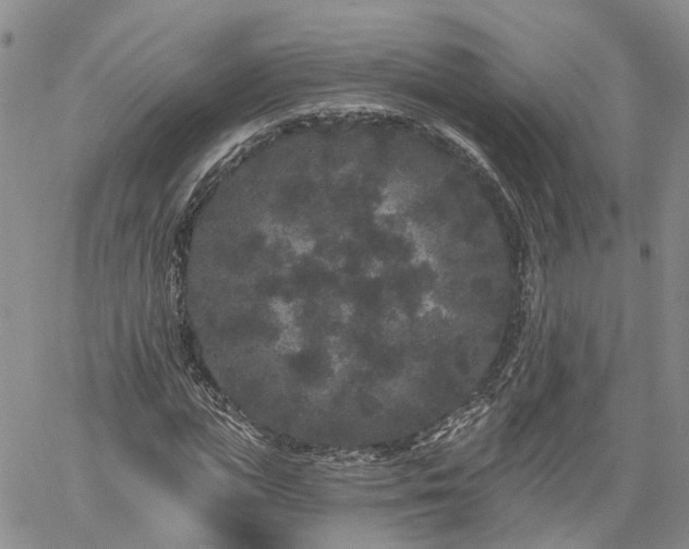 X0000061730823200512091543