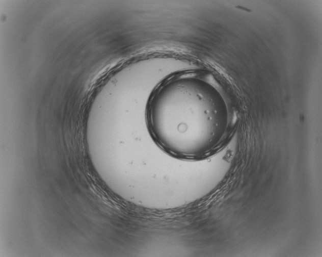 X0000061730824200512091543