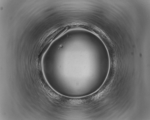 X0000061730825200512091543