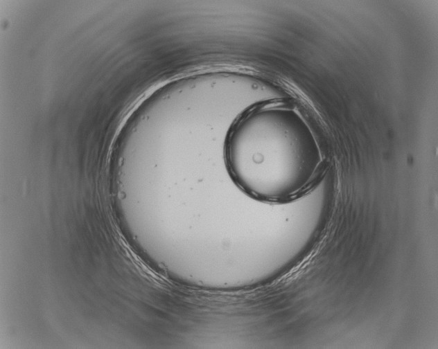 X0000061730828200512091543