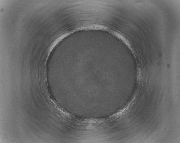 X0000061730829200512091543