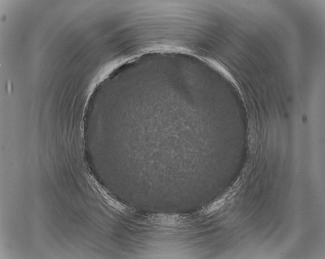 X0000061730831200512091543