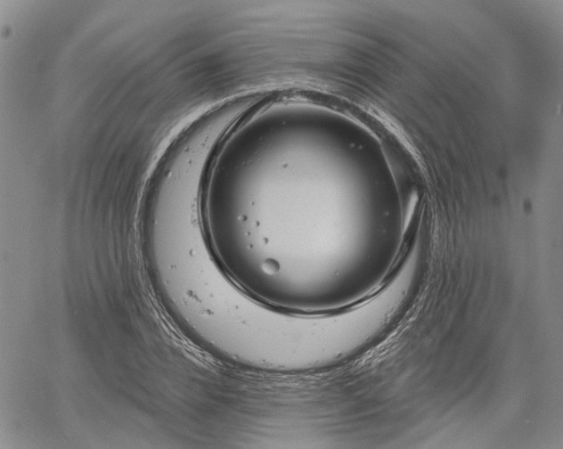 X0000061730832200512091543