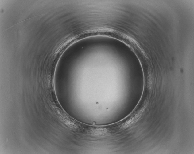 X0000061730833200512091543