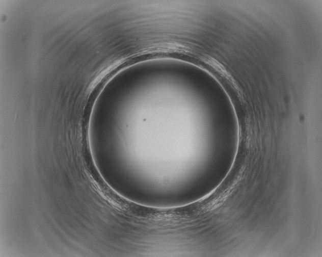 X0000061730834200512091543