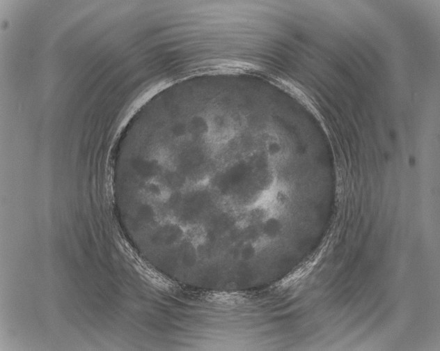 X0000061730835200512091543