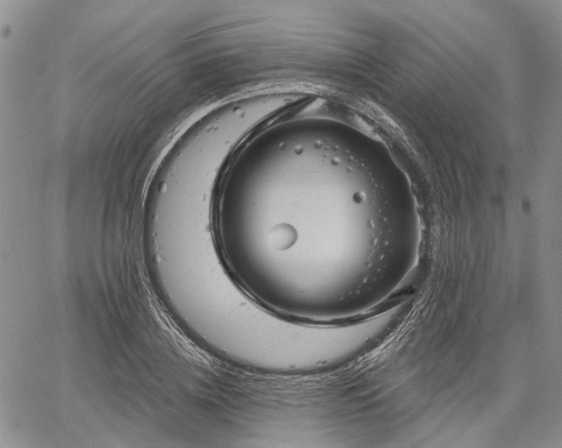 X0000061730836200512091543